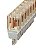 Conector De Relé St-Rel4-Hg 24/21-21 2823405 Phoenix Contact - Imagem 1