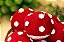 Varal de Cogumelos - Vermelho - Imagem 3