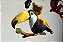Mobile Musical - Fauna Brasileira - Imagem 5