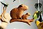 Mobile Musical - Fauna Brasileira - Imagem 3