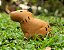 Capivara - Sua Costura - Coleção Fauna - Montessori - DIY - Imagem 4