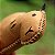 Capivara - Sua Costura - Coleção Fauna - Montessori - DIY - Imagem 7