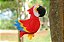 Arara - Sua Costura - Coleção Fauna - Montessori - DIY - Imagem 9