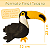 Tucano - Sua Costura - Coleção Fauna - Montessori - DIY - Imagem 2