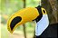 Tucano - Sua Costura - Coleção Fauna - Montessori - DIY - Imagem 8