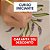 Combo Aula Online Pintura em Cerâmica - Curso Iniciante - Imagem 1