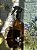 Home Spray Alecrim 200ml - Dia a Dia - Imagem 1