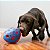 Kong Rewards Wally - Dispenser de Alimento G - Imagem 3