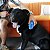 KONG Zoomgroom Boysenberry Small - Imagem 2