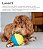 Bola Dispenser de Ração e Petiscos - Treat Tumble Small - Outward Hound - Imagem 3