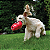 Brinquedo Flutuante Kong Bounzer - Imagem 2