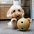 Dispenser Kong Bamboo Feeder Ball Medium - Imagem 3