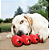 Kong Goodie Ribbon Medium - Brinquedo Recheável - Imagem 2