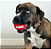 Kong Signature Sport Balls PP - Com 3 Unidades - Imagem 3