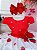 Vestido Infantil Moranguinho Vermelho Luxo Festas C/ Broche super luxo festa RO1124VB - Imagem 3