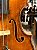 NICOLAUS GAGLIANO, ANO 1735 - Imagem 11