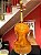 Violino De Autor, Século 21, Ano 2004, Réplica Guarnerius!! - Imagem 5