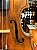 VIOLINO DO SÉC. 18, ANO 1790, MODELO AMATI - Imagem 3