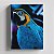 Quadro Canvas  Arara - Imagem 1