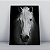 Quadro Canvas  Cavalo Branco - Imagem 1