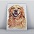 Quadro Canvas Cachorro Golden - Imagem 1
