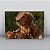 Quadro Canvas Cachorro Outono - Imagem 1