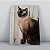Quadro Canvas Gato Siamês - Imagem 1