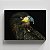 Quadro Canvas Ave de Rapina - Imagem 1