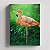Quadro Canvas Flamingo - Imagem 1