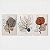 Trio Quadro Canvas Flores Traçado - Imagem 1