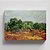 Quadro Canvas Olive Trees - Imagem 1