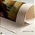 Quadro Canvas Cabin of the Customs Watch - Imagem 6