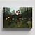 Quadro Canvas Virgin forest at sunset - Imagem 1