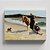 Quadro Canvas Eagle Head Manchester Massachusetts - Imagem 1