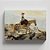 Quadro Canvas The Bridal Path, White Mountains - Imagem 1