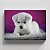 Quadro Canvas Cachorro Floquinho de Neve 30cmX45cm Borda Infinita CHASSI 2cm OUTLET - Imagem 1