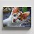 Quadro Canvas Gato Branco Olhos Azuis 30cmX45cm Borda Infinita CHASSI 2cm OUTLET - Imagem 1