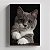 Quadro Canvas Gato Cinza Pelo Curto Inglês 013 - Imagem 1
