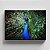 Quadro Canvas Pavão 40cmX60cm Borda Infinita CHASSI 3.1cm OUTLET - Imagem 1