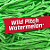 BIG LEAGUE CHEW WILD PITCH WATERMELON 60GR - EUA - Imagem 2