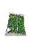 AMENDOIM SALSA E CEBOLA (VERDE) - Imagem 2