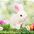 Coelho Pelúcia Branco Pula com Som - Shiny Toys * - Imagem 2