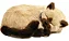 Perfect Petzzz - Gato Siames de Pelúcia que Respira - Imagem 2