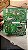 Placa Fonte Energia Monitor Flatron E2011p Eax63028704 1.0 - Imagem 3