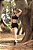 CJSH37004 - Conj. Short e Top Poliamida Canelado Preto com ajuste lateral - Imagem 2