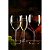 Jogo Taça Champanhe Bormioli Rocco Cristal 200ml com 6 Peças - Imagem 2
