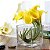 Vaso de Vidro Square Para Plantas Aquario Multifuncoes 12cm - Imagem 4