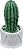 Estatueta Enfeite Cactus Adorno Ceramica Av Cacto Home & Co - Imagem 1