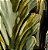 Vaso Cherrie em Cerâmica Verde Home & Co Único 33x21cm - Imagem 5
