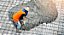 Concreto Usinado em São Sebastião: Ideal para Todos os Tipos de Obras - Contate-nos pelo WhatsApp 61-99266-2168 - Imagem 2
